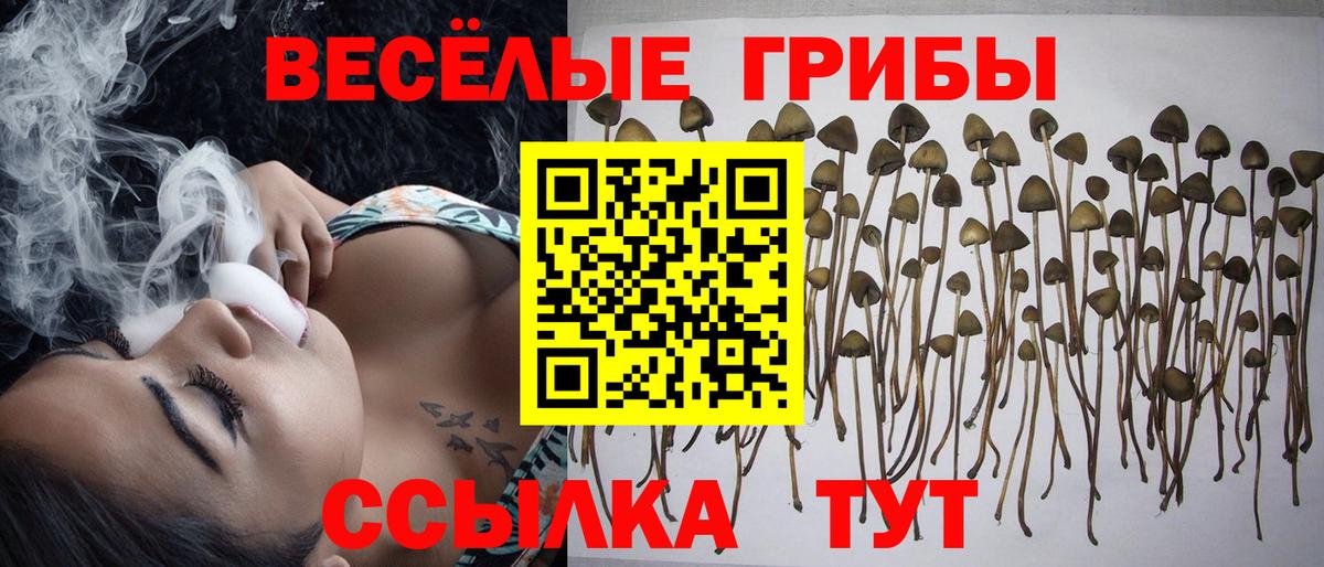 Галлюциногенные грибы GOLDEN TEACHER Пушкино